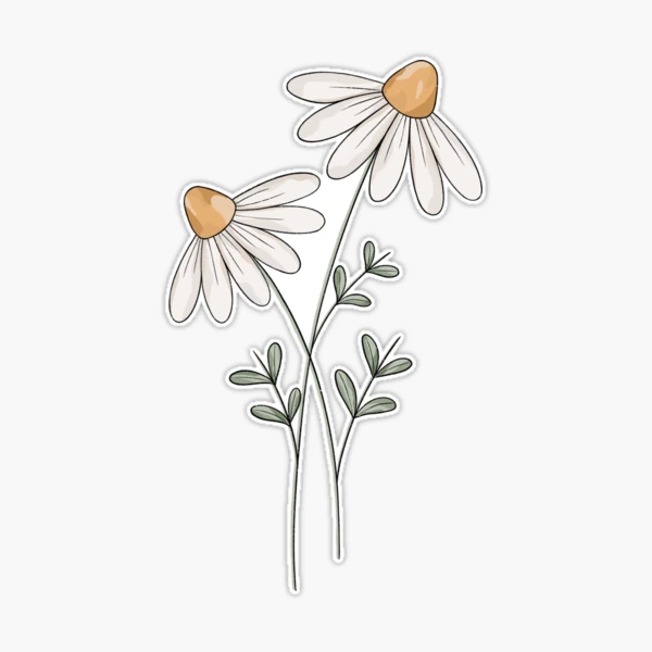 Daisy Bundle Sticker for Sale by Jamie Maher