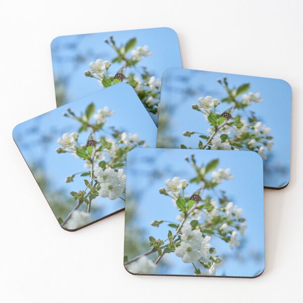 Item preview, Bumblebees heaven. White cherry flowers 5 designed and sold by Jouko Lehto Photography.