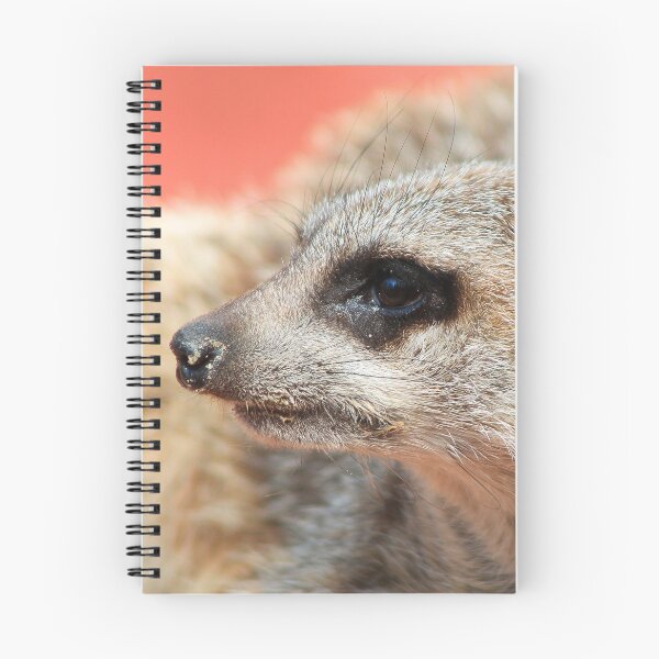 Item preview, Meerkat 053 designed and sold by JAMFoto.