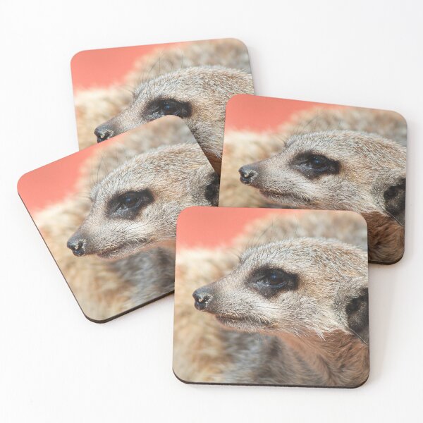 Item preview, Meerkat 053 designed and sold by JAMFoto.