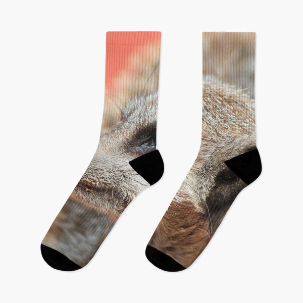 Item preview, Meerkat 053 designed and sold by JAMFoto.