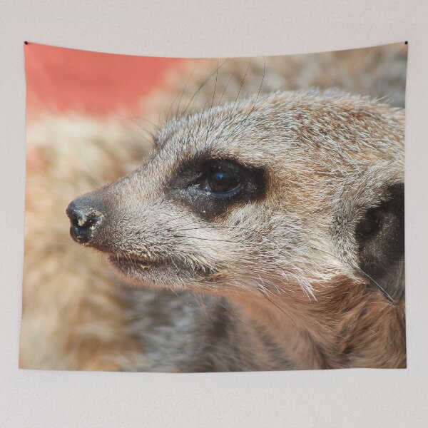 Item preview, Meerkat 053 designed and sold by JAMFoto.
