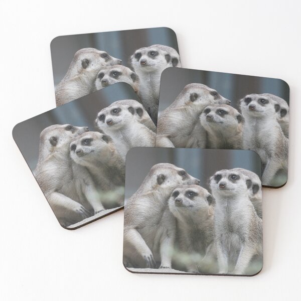Item preview, Meerkat 054 designed and sold by JAMFoto.