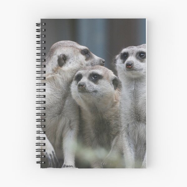 Item preview, Meerkat 054 designed and sold by JAMFoto.