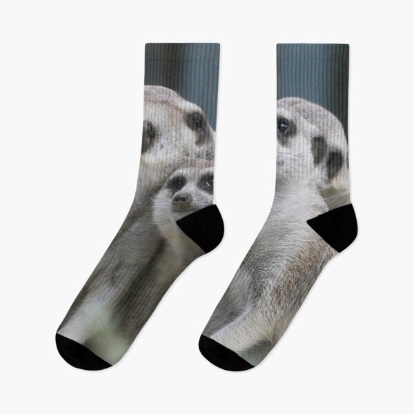 Item preview, Meerkat 054 designed and sold by JAMFoto.