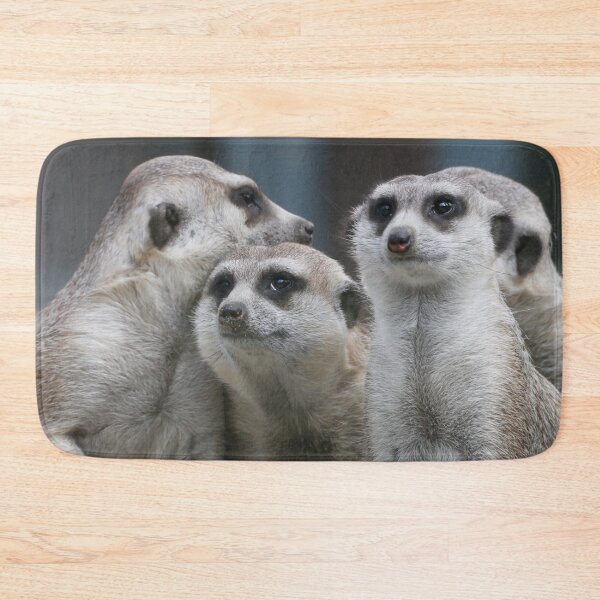 Item preview, Meerkat 054 designed and sold by JAMFoto.