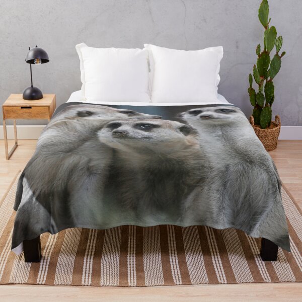 Item preview, Meerkat 054 designed and sold by JAMFoto.