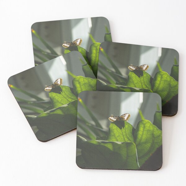 Item preview, Morning Butterfly designed and sold by LinguistPhoto.