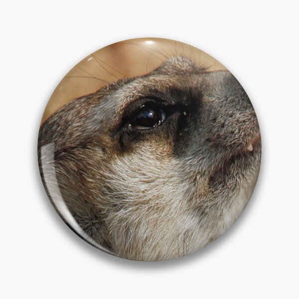Artikelvorschau, Meerkat 055 entworfen und verkauft von JAMFoto.