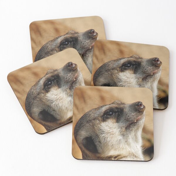 Item preview, Meerkat 055 designed and sold by JAMFoto.