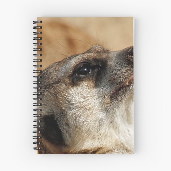 Item preview, Meerkat 055 designed and sold by JAMFoto.