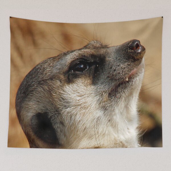Item preview, Meerkat 055 designed and sold by JAMFoto.