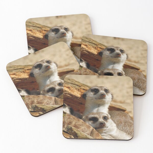 Item preview, Meerkat 056 designed and sold by JAMFoto.
