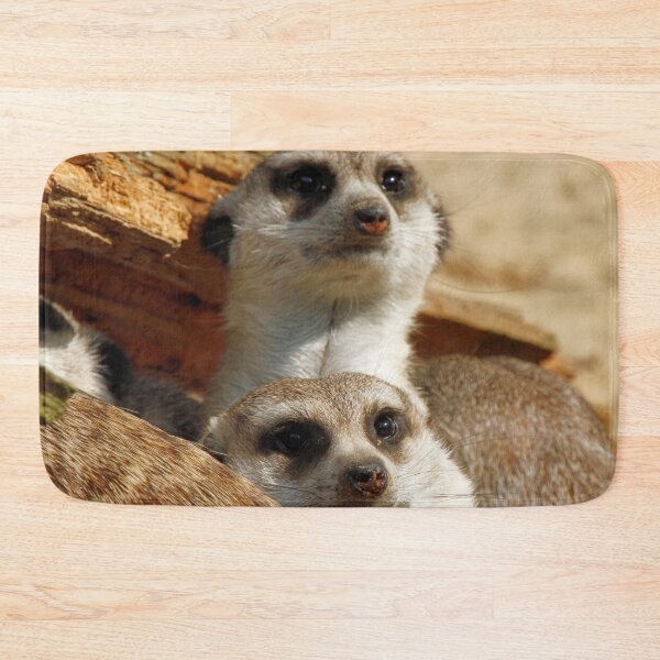 Item preview, Meerkat 056 designed and sold by JAMFoto.
