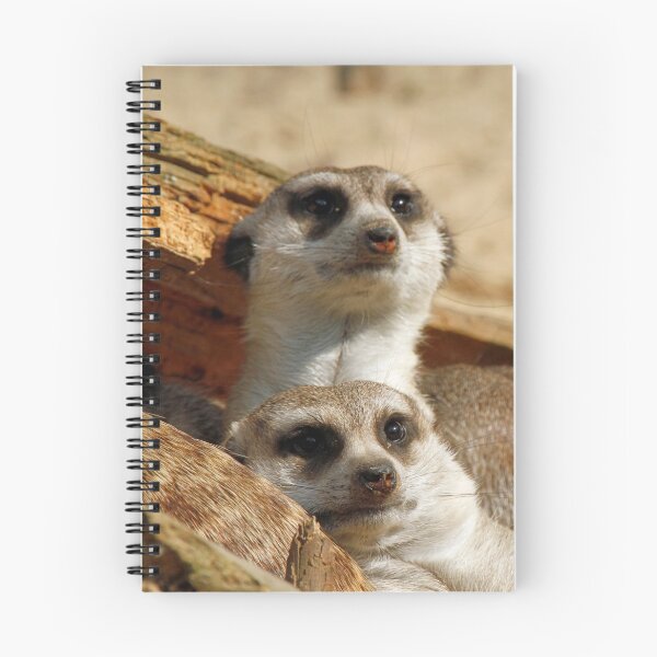 Item preview, Meerkat 056 designed and sold by JAMFoto.
