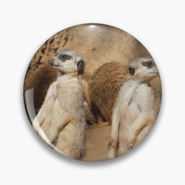 Item preview, Meerkat 057 designed and sold by JAMFoto.