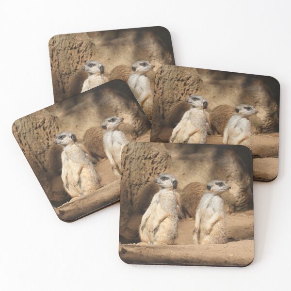 Item preview, Meerkat 057 designed and sold by JAMFoto.