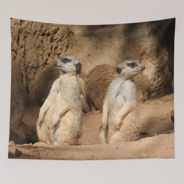 Item preview, Meerkat 057 designed and sold by JAMFoto.