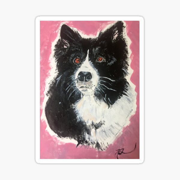 BORDER COLLIE MIX RESCUE DOG Sticker
