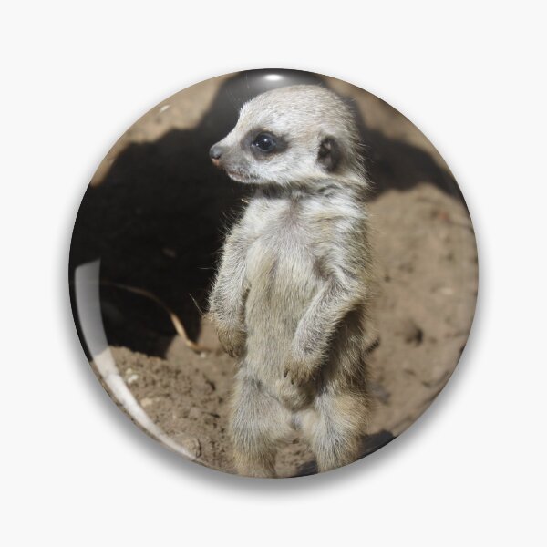 Artikelvorschau, Meerkat 058 entworfen und verkauft von JAMFoto.