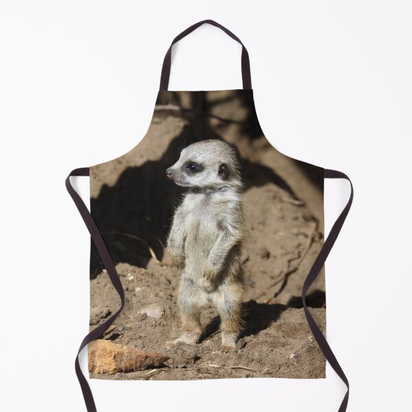 Item preview, Meerkat 058 designed and sold by JAMFoto.