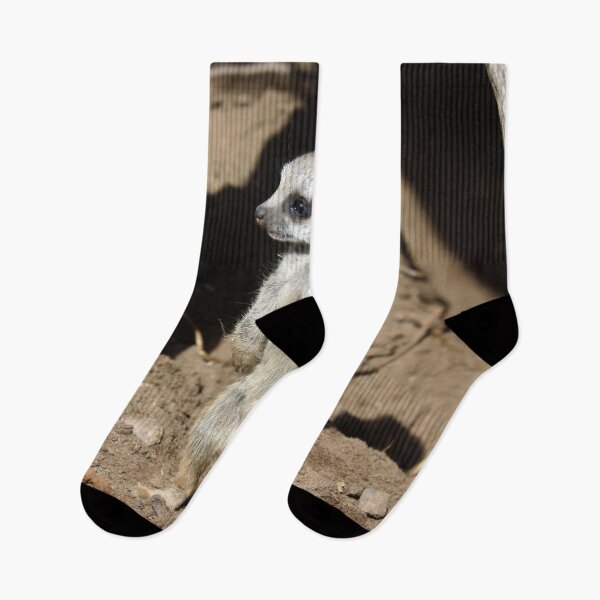Item preview, Meerkat 058 designed and sold by JAMFoto.