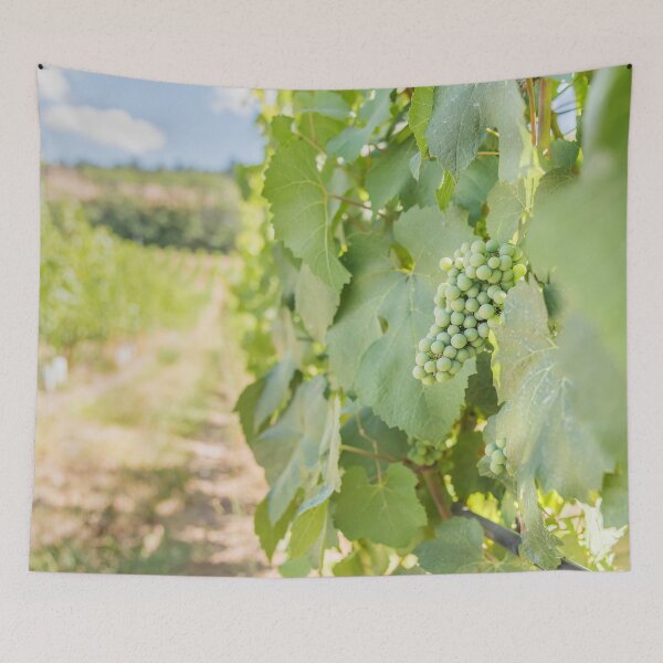 Item preview, Okanagan Valley Grapevines and Blue Sky in Summer designed and sold by Amy Mitchell.