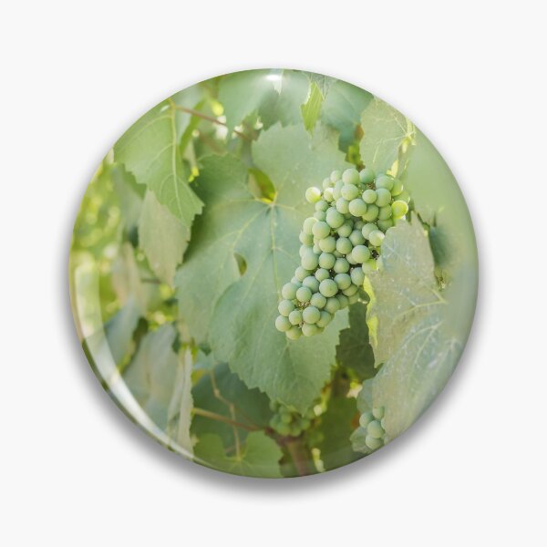 Item preview, Okanagan Valley Grapevines and Blue Sky in Summer designed and sold by Amy Mitchell.