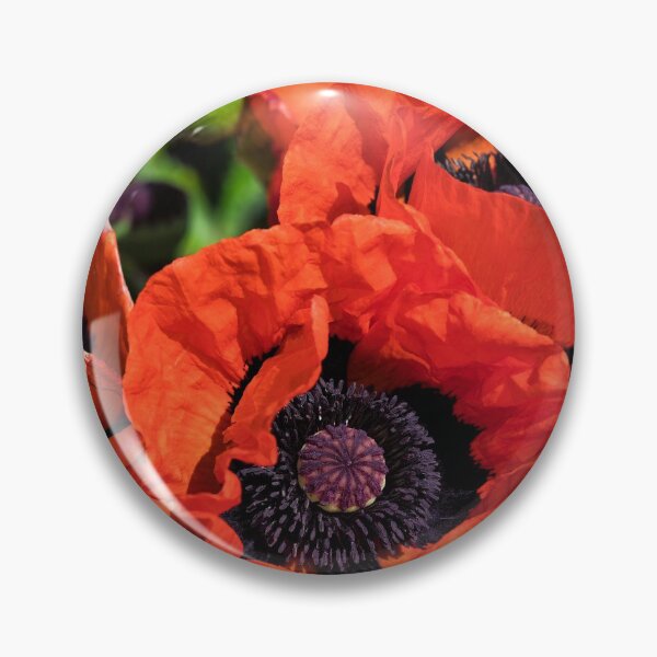 Artikelvorschau, Blutroter Mohn entworfen und verkauft von Violaman.