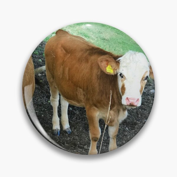 Item preview, Baby Cows designed and sold by Christine  Wilson Photos.