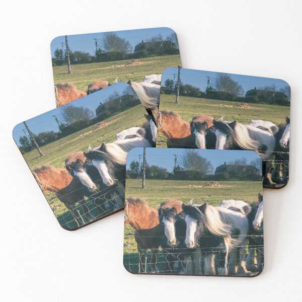 Item preview, Irish Ponies designed and sold by Murphotography.