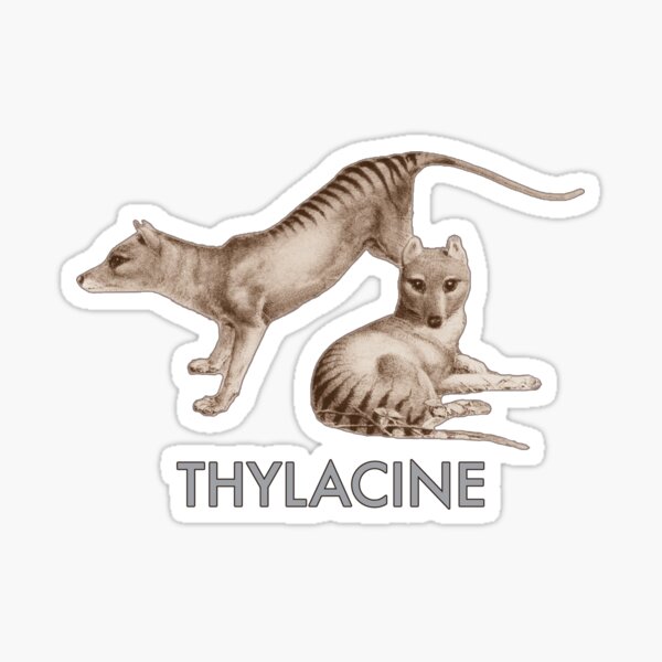 Item preview, Thylacine Tasmanian Tiger designed and sold by artenvironments.