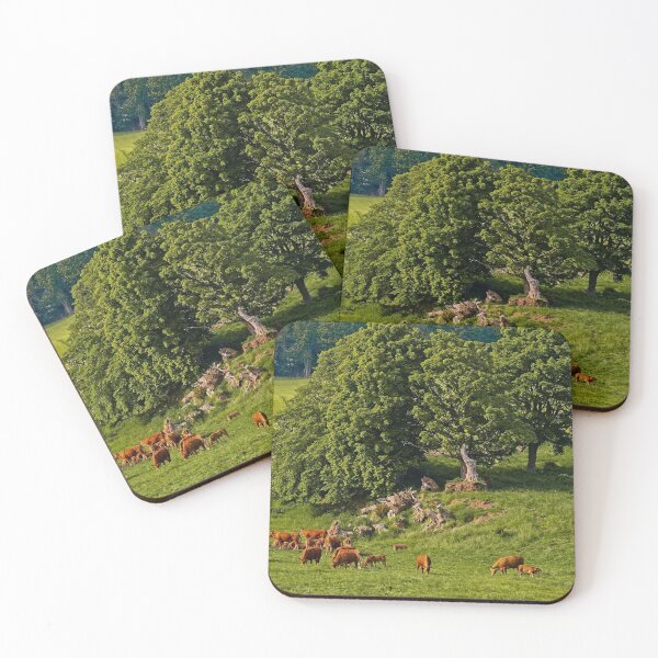 Item preview, English Country Farming Scene designed and sold by Martyn R Arnold Fine Art Nature & Landscape Photography.