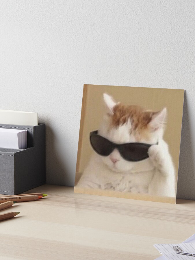 cat with glasses meme Art Board Print by valwerty