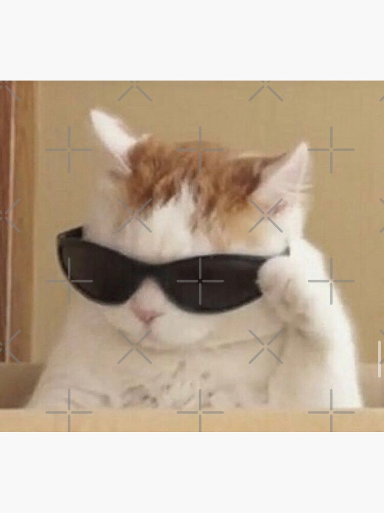 A cool white cat wearing black sunglasses on a white background created  with generative AI technology. 22963445 Stock Photo at Vecteezy