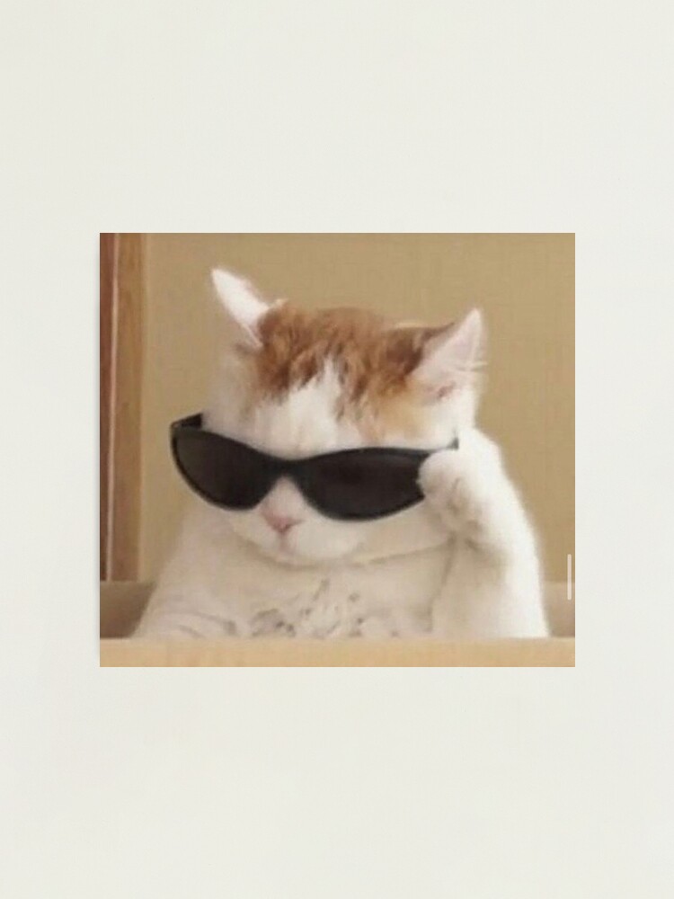 Impression photo for Sale avec l'œuvre « Chat avec des lunettes