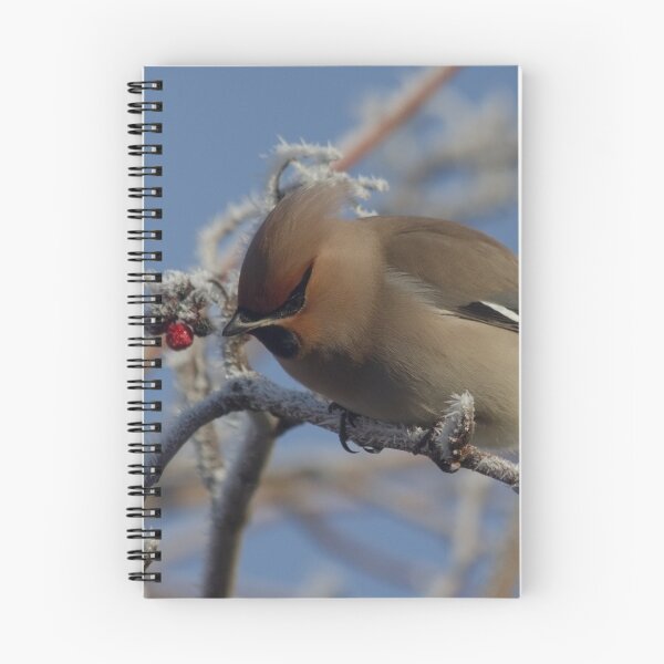 Item preview, Winter visitor in the trees designed and sold by JanSmithPics.