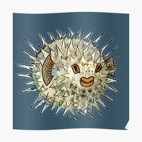 Kawaii Puffer Fish Wall Art Redbubble