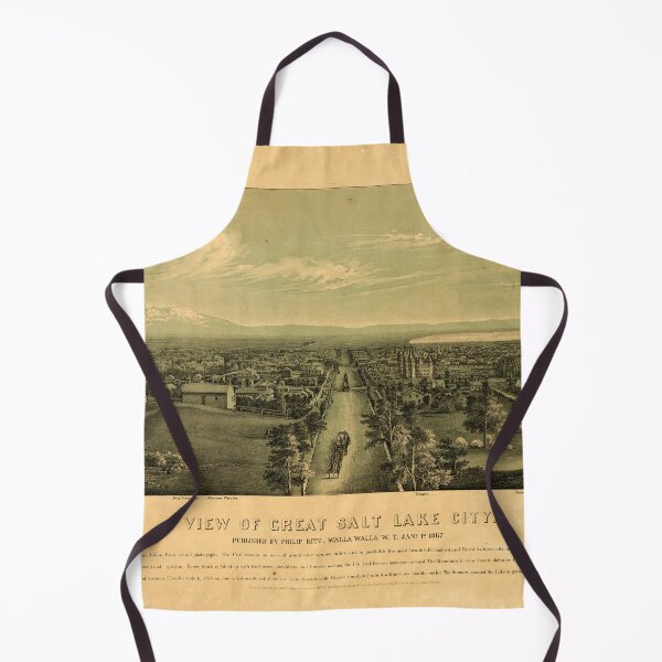 Artikelvorschau, Salt Lake City, Utah (1867) entworfen und verkauft von allhistory.