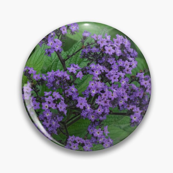Item preview, Blooming Heliotrope in a Local Park designed and sold by Gerda Grice Photography.