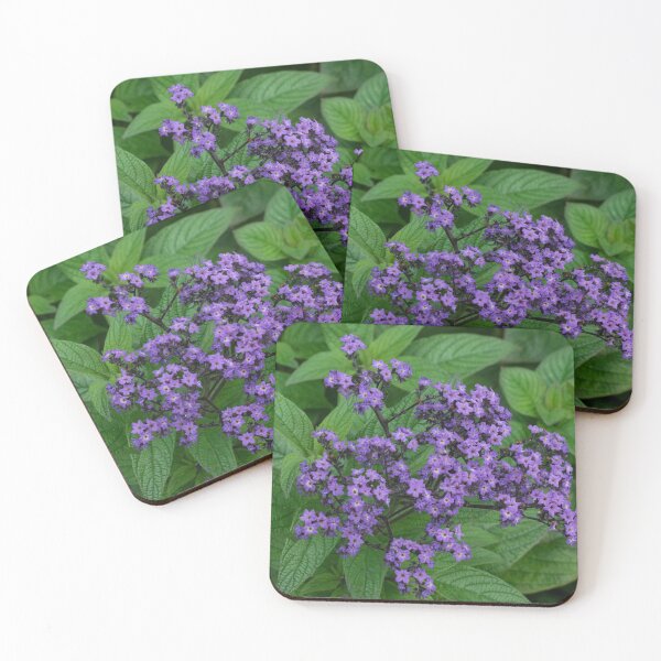Item preview, Blooming Heliotrope in a Local Park designed and sold by Gerda Grice Photography.