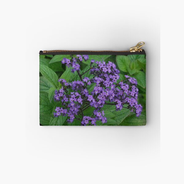 Item preview, Blooming Heliotrope in a Local Park designed and sold by Gerda Grice Photography.