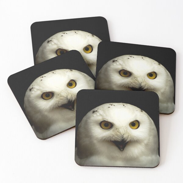 Item preview, Snowy owl - Bubo scandiacus on a black background designed and sold by Michaelerch.