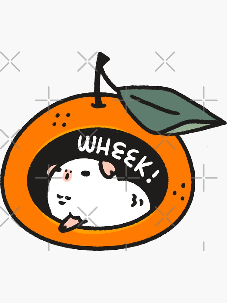 Mikan the Albino Guinea pig Wheek! by Miri-Noristudio