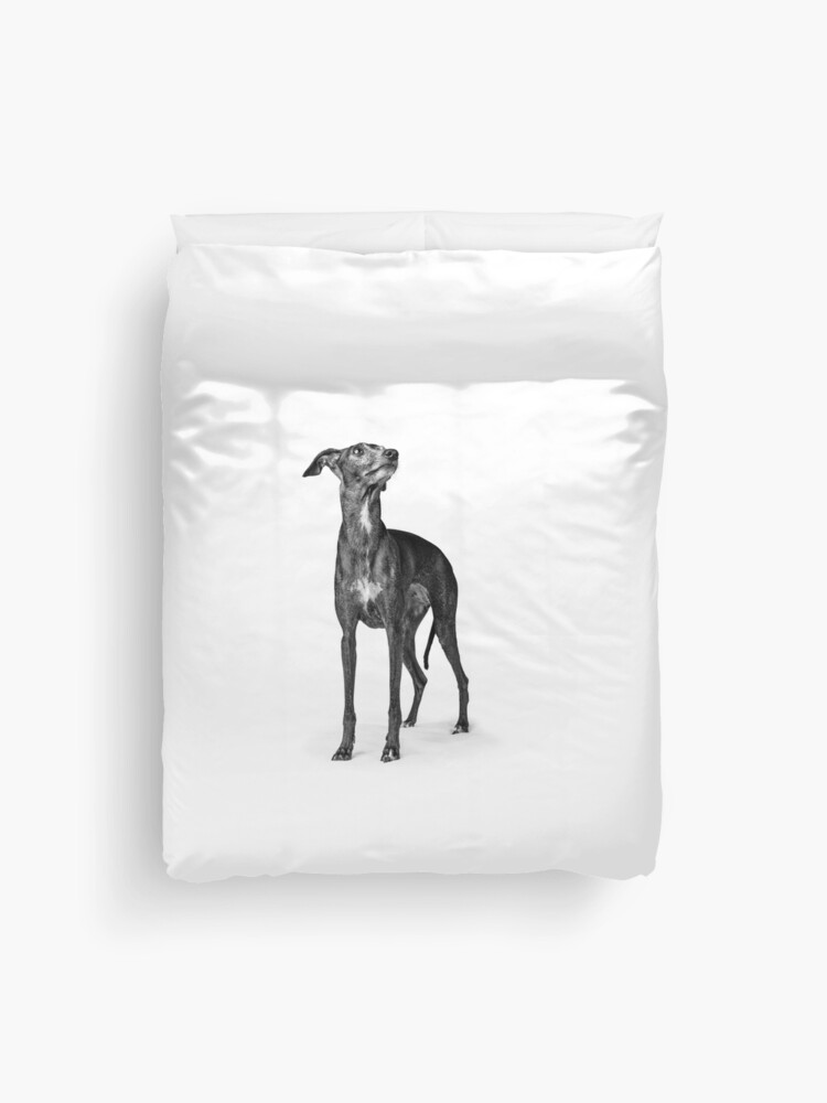 greyhound duvet set