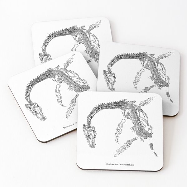 Item preview, Plesiosaurus macrocephalus designed and sold by diologic.