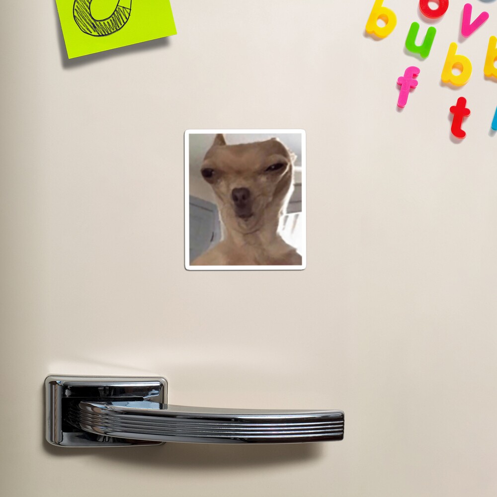 scared dog face Magnet for Sale by Petmemes