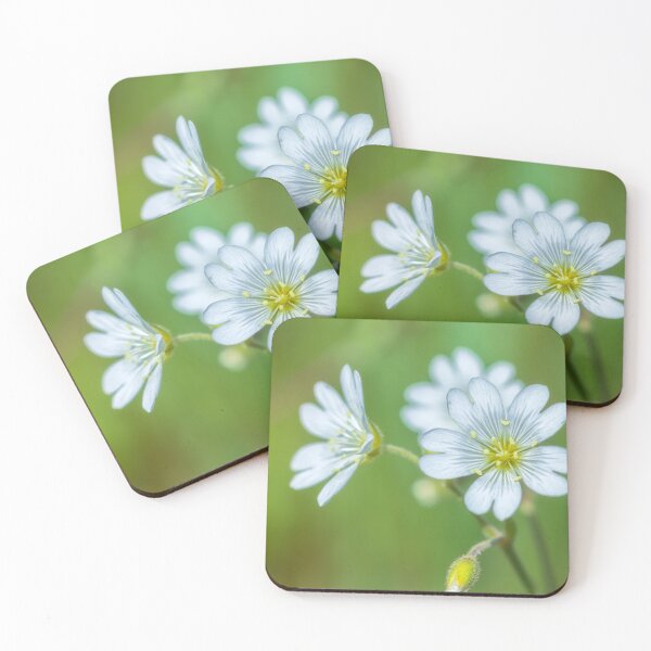 Item preview, Field Chickweed  designed and sold by jvnimages.