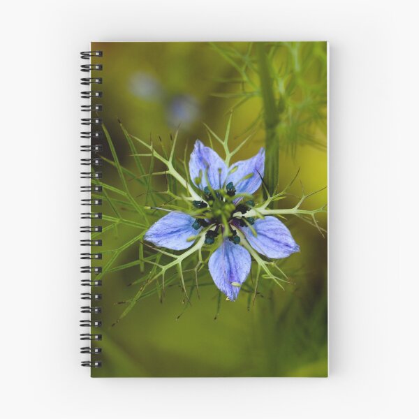Artikelvorschau, Blue Star entworfen und verkauft von Yardley Pearson Photography.