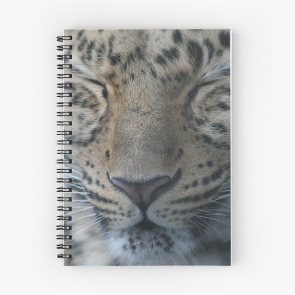 Item preview, Big Cats Are Posers designed and sold by Hannah Marco.